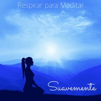 Música Zen - Meditación Maestro