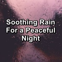 White Noise Rain in the Rainy Forest with Sleeping Music - Relax Meditate Sleep & Relax Attack & Relax