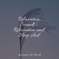 Sleep Well - Natural Sample Makers & Spa Music Collective & Rain Sounds Collection