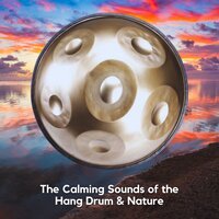 Ayurveda: Life and Knowledge (Relaxing Nature Sounds with Beats) - Hang Drum & The Hang Drum Project & Relaxing Hang Drum Nature