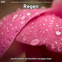 Regen, pt. 79 - Regengeräusche zum Einschlafen Patrick Mazio & Regengeräusche & Naturgeräusche