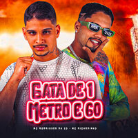 Gata de 1 Metro e 60 - Mc Ricardinho & MC Rodrigues Da ZO & Neurose no Beat