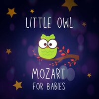 The Magic Flute, Tamino - Little Owl