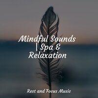 Relaxed Muscles - Classical New Age Piano Music & Sleep Music & Namaste Yoga