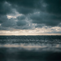 In the Forest - Loopable Rain & Academia de Música para Massagem Relaxamento & Nature Ambience
