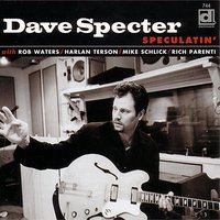 The Haleiwa Shuffle - Dave Specter