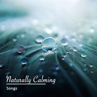 Flowing Mountain River - meditación Interna