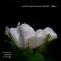 Ambient Mindfullness (Night Sound) - Autogenic Training Channel