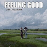 Feeling Good - Dhevy Geranium