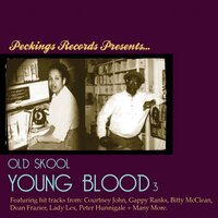 Did You Say Something - Natijah, The Supersonics & The Supersonics & Natijah
