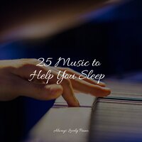 A Peaceful Wander - Exam Study Classical Music Orchestra & Calming Baby Sleep Music Club & Piano Relax