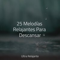 Felicidad Efervescente - Musica relajante con sonidos de la naturaleza & Música Instrumental Maestro & Canção de Ninar Bebê
