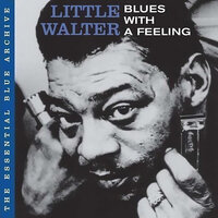 Teenage Beat - Little Walter