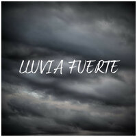 Lluvia Fuerte Para Dormir, Pt. 40 - Sonido Del Bosque y Naturaleza & Chillout Lounge & Estudio de sonidos de lluvia