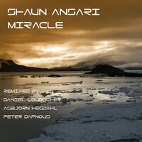 Miracle - Shaun Ansari & Peter Dafnous