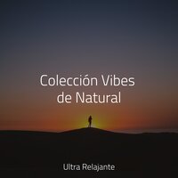 Sintiendo El Viento - Relajantes sonidos de lluvia & Ruido Blanco Para Bebes & Sonidos de lluvia para dormir