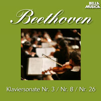 Klaviersonate No. 8 in C Minor, Op. 13, "Pathetique": II: Adagio contabile - Paul Badura-Skoda & Ludwig van Beethoven