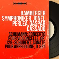 Sonate pour arpeggione in A Minor, D. 821: II. Adagio - Bamberger Symphoniker & Франц Шуберт