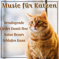 Keine Angst Mehr - Music For Cats Peace & Cat Music Dreams & RelaxMyCat