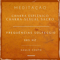 Meditação - Chakra Esplênico - Chakra Sexual  Sacro - Frequência Solfeggio - 285 Hz - Saulo Couto