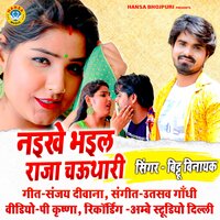 Naikhe Bhayil Raja Chauthari - Bittu Vinayak