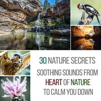 Peaceful Mind (Sleeping Waves Hypnosis) - Serenity Nature Sounds Academy