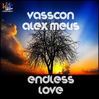 Endless Love - Vasscon & Alex Melis