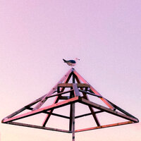 INFINITY - ALTUNIN & SATOMIC