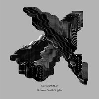 Shatter - Schonwald