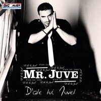 Beau Si Petrec - Mr. Juve & Liviu Guta