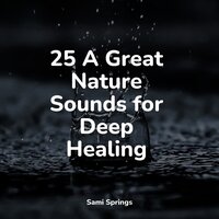 Playful River - Zarobi & Meditation Rain Sounds & Rain Sounds & White Noise