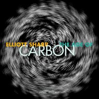 Raptor - Elliott Sharp