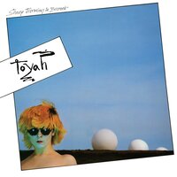 Elusive Stranger - Toyah