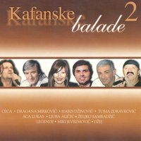 Sipajte Mi Jos Jedan Viski - Zeljko Samardzic