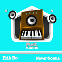 never gonna - Erik Bo