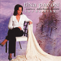 Solo la luz de la tarde - Tina Pavón