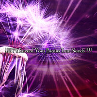 Mystify Me - Yoga Soul