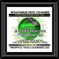RA Situation Reversal and Change Facilitation 417Hz - Brainwave Mind Voyages