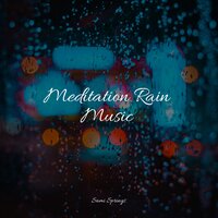 Stream, Small, Birds, Close - Rain Recorders & Academia de Meditação Buddha & Sleeping Music