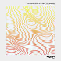 Cosmochemistry - Invisible Brothers