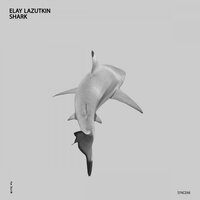 Shark - Elay Lazutkin