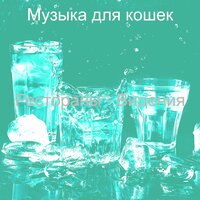 Звуки (Рестораны) - Музыка для кошек