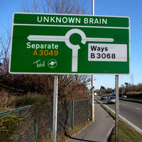 Separate Ways - Unknown Brain