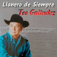 Palmaritales de Arauca - Teo Galíndez
