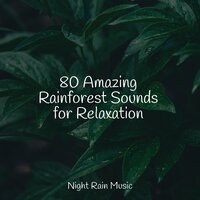 Rain Dripping from the Roof - Study Zone & Soothing Music Academy & A Sudden Rainstorm