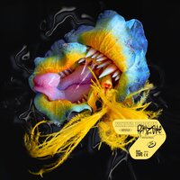 Rhiz()me - Nikita Zabelin