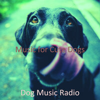 Background for Doggy Training - Dog Music Radio