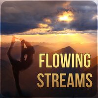 Harmonious Journey - Meditation Group