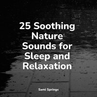 Crackling Campfire - Regen zum Schlafen & Binaural Beats Brain Waves Isochronic Tones Brain Wave Entertainment & Alpha Brain Waves