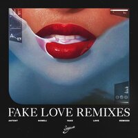 Fake Love - Antent & Nomeli & anndrri